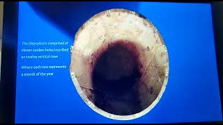 Civilization museum Old Cairo💎Water clock💎Ceasul cu apa💎Inventie egipteana💎Egypt💎