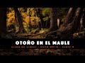 Capítulo 10: Otoño en el Maule: Parte 2