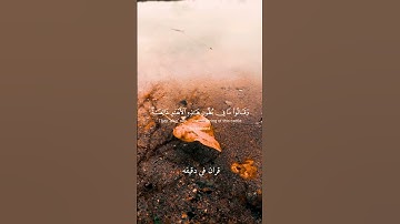 قران كريم ارح قلبك وسمعك #قران_في_دقيقة #المصحف#quran#سعود_الشريم #قران_كريم @قران_في_دقيقة