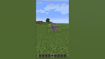 Can You Turn Minecraft Shulkers Invisible? 🤔 #minecraft