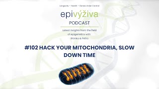 Download Lagu #102 HACK YOUR MITOCHONDRIA, SLOW DOWN TIME/ epigenetics, ATP, longevity, plastoquinone, microbiome MP3