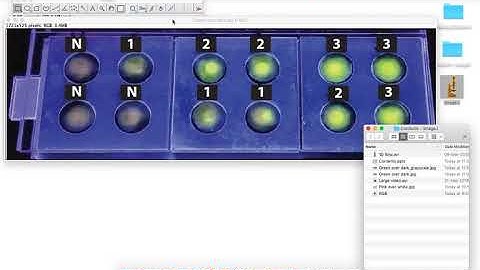 Tutorial: Image J - Processing of Paper Microfluidic Device Images/Movies