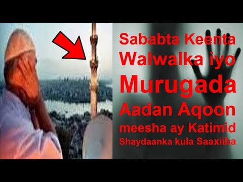 Walwal & Murugo Aadan Aqon sababtooda Ma ku Haysataa waa tan Daawadii