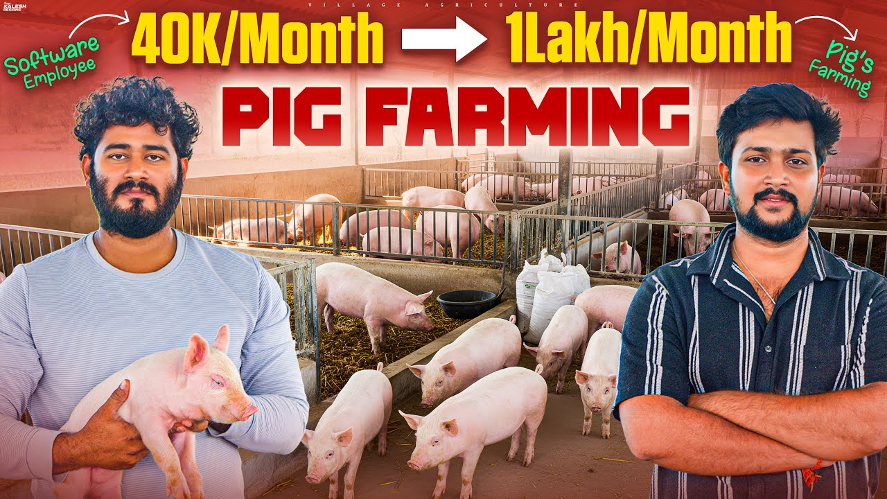 Job వదిలి Pig Farming 🐷 మొదలుపెట్టాడు | Now Earning ₹1 Lakh/Month! 💰