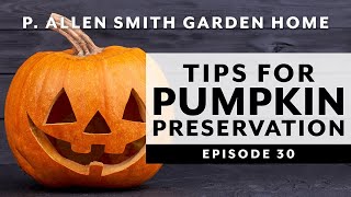 Pumpkins FAQ | Best Preservation & Decorating Tips: Garden Home VLOG