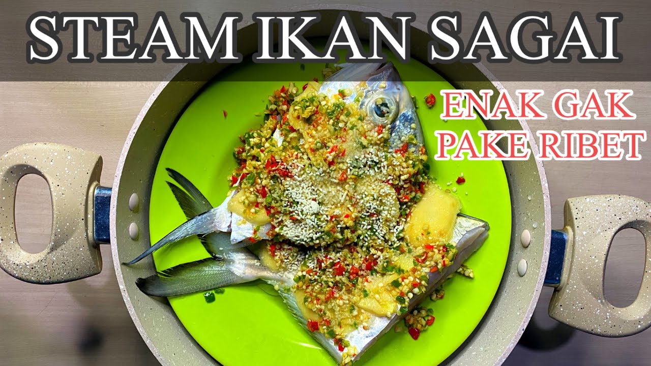 STEAM IKAN SAGAI ENAK GAK PAKE RIBET