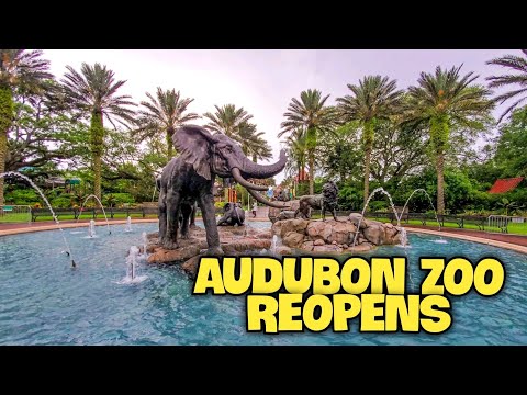 Vídeo: Nova Orleans Audubon Zoo (Horários e Festivais)