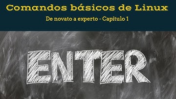 Comandos Básicos de Linux y ejemplos - Capítulo 1