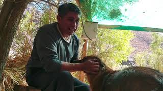 Que el proyecto humanidad no se pierda