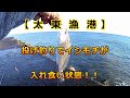 【太東漁港】　投げ釣りでイシモチが入れ食い状態！！