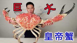 The whole world is looking for two years, 18.5 catties giant king crab.