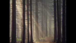 Izzy Stradlin' Gotta Say