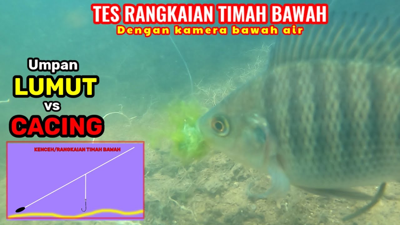 TES RANGKAIAN PANCING TIMAH BAWAH dengan kamera bawah air