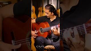 Alzapúa Flameca Hermanos Conde 1989 - Firma Paco De Lucía José Andrés Cortés