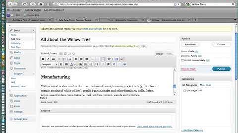 How to Create Post in WordPress 3.0