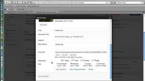 How to Create Post in WordPress 3.0