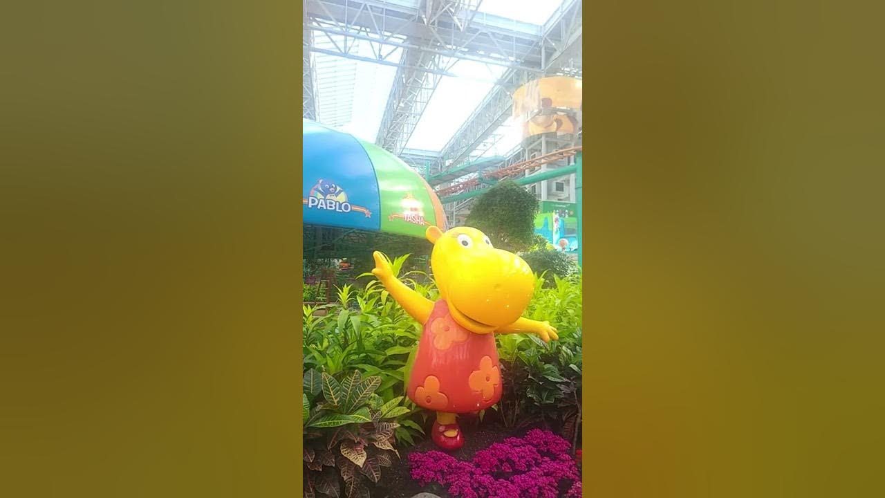 Backyardigans swing alone is temporary close for maintenance again at