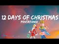 Miniature de la vidéo de la chanson 12 Days Of Christmas