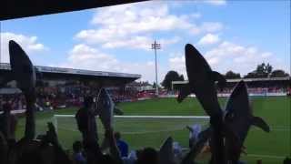 Grimsby fans vs Kidderminster away 08/08/15