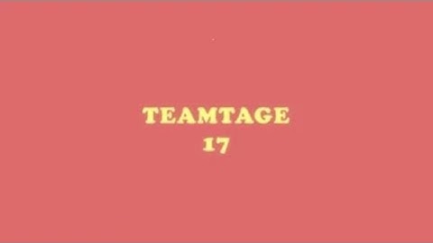 Native Teamtage 17