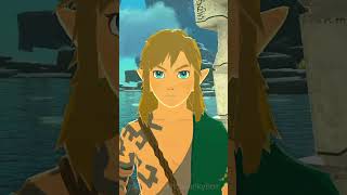 Link Doesn&#39;t Need Air in Tears of the Kingdom