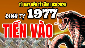 Chuyên Gia Tử Vi Nhận Định Đinh Tỵ 1977 Đón Lộc Trời Ban, Tiền Vào Như Nước Từ Nay Đến Cuối Năm