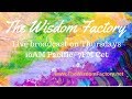 Paradiso integrale   the wisdom factory   trailer