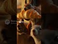 SQUIRREL GANG RAIDED A BAKERY 😭