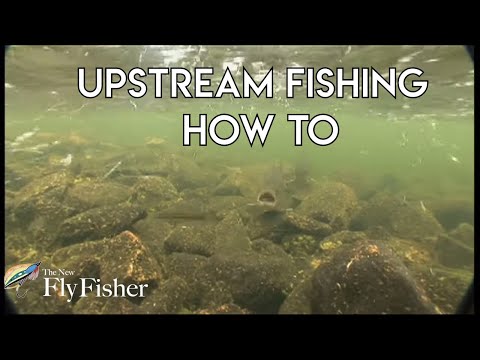 Video: Šta je upstream usluga?