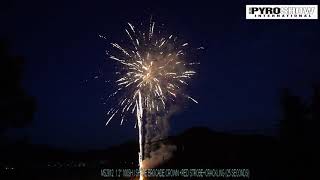 MS2012 100 shots