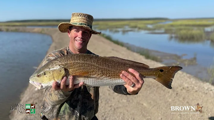 Crestview | 73.5 +/-  unencumbered pristine acres in Charleston County, SC. Incredible views!