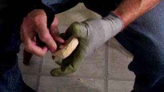 Carving The Scout  Intermediate Polar Bear Project Part 3