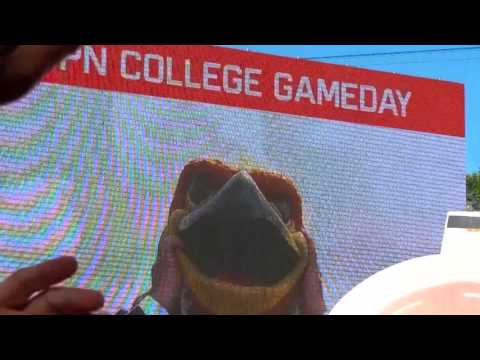 Raven covers College Gameday's trip to Salt Lake City