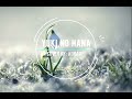 Yuki no Hana / Snow Flower - Mika Nakashima [Cover]