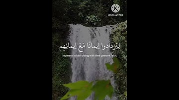 هو الذي أنزل السكينه.  القارئ: عبدالرحمن مسعد .   #القرآن_الكريم.   #عبدالرحمن_مسعد