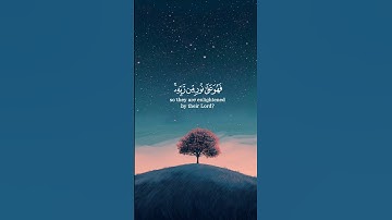 افمن شرح الله صدره للاسلام فهو على نور من ربه القارئ مشاري العفاسي #المصحف #quran #تلاوة_خاشعة