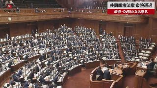 【速報】共同親権法案、衆院通過 虐待・DV防止になお懸念