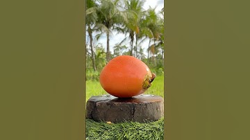 It All Starts with an Ultra-Sharp Knife