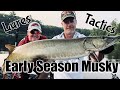 Early season musky fishing