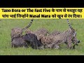 The Rise of Fast Five Cheetah Coalition in Hindi। Tano Bora Coalition Documentary in Hindi