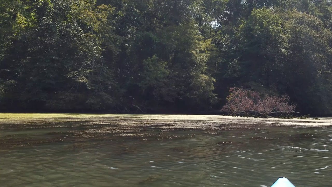 Tennessee River Nickajack Lake YouTube
