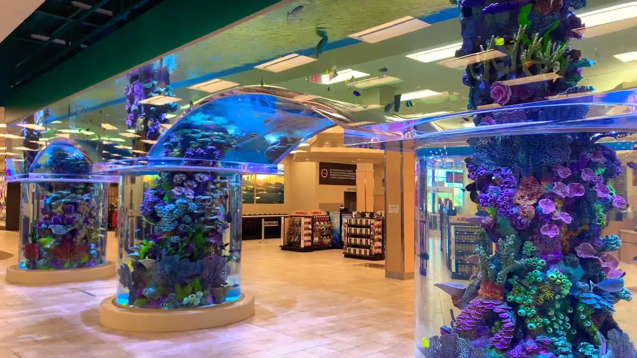 Scheels Sporting Goods Aquarium YouTube