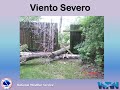Thunderstorm Safety (Spanish)