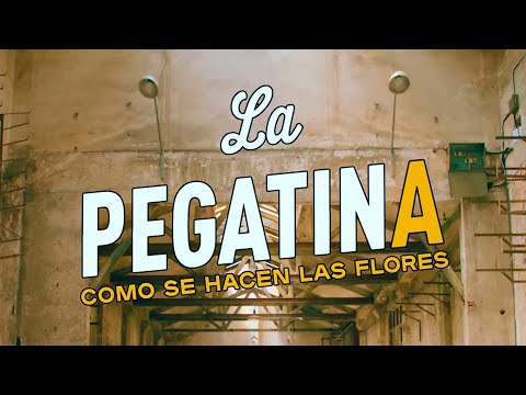 La Pegatina - Como se hacen las flores (Videoclip Oficial)