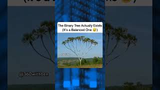 Real life Binary Tree😂 #coding #dsa #algorithm #memes #freshers #shorts