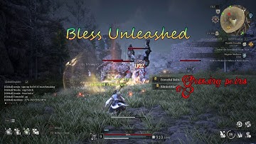 Bless Unleashed... (Mage) Growing pains