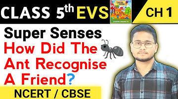 Class 5 EVS Chapter 1 | Super Senses - How Did The Ant Recognise a Friend? | Class 5 EVS NCERT