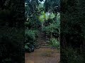 HOME | IDUKKI | ഇടുക്കി
