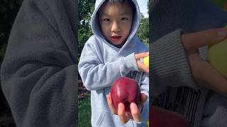 Apple picking! 🍎