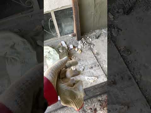 Ремонт крыльца штукатурка